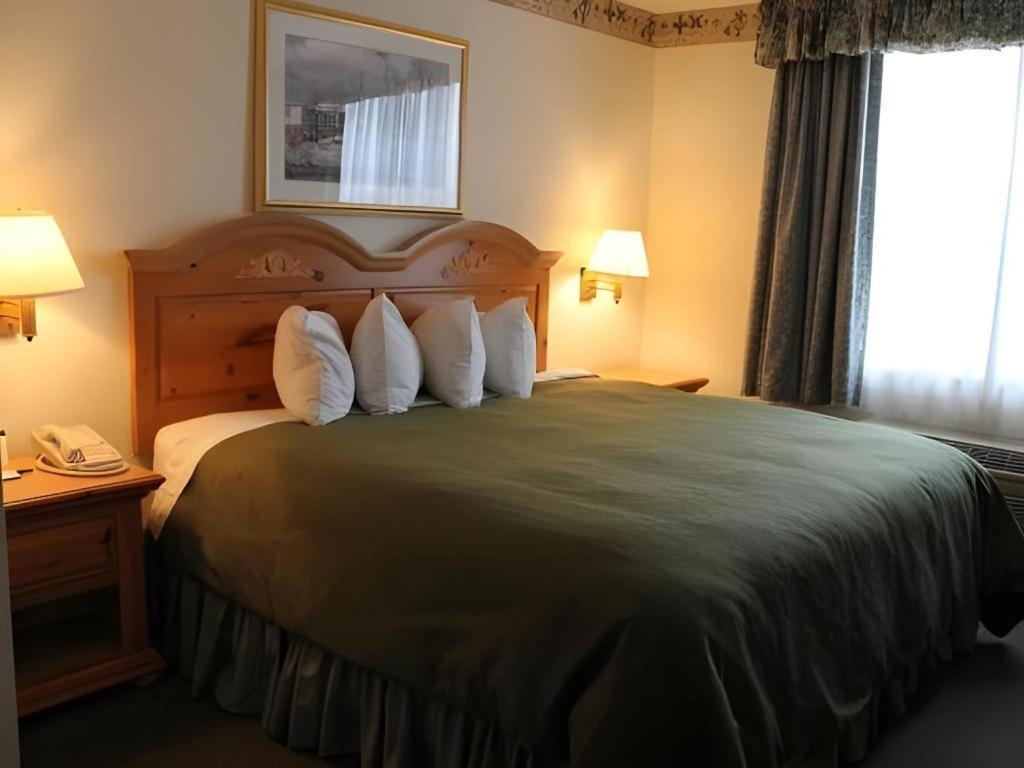 Country Inn & Suites By Radisson, Dundee, Mi Zewnętrze zdjęcie