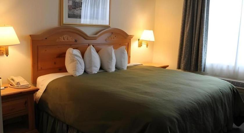 Country Inn & Suites By Radisson, Dundee, Mi Zewnętrze zdjęcie